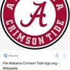 bama531